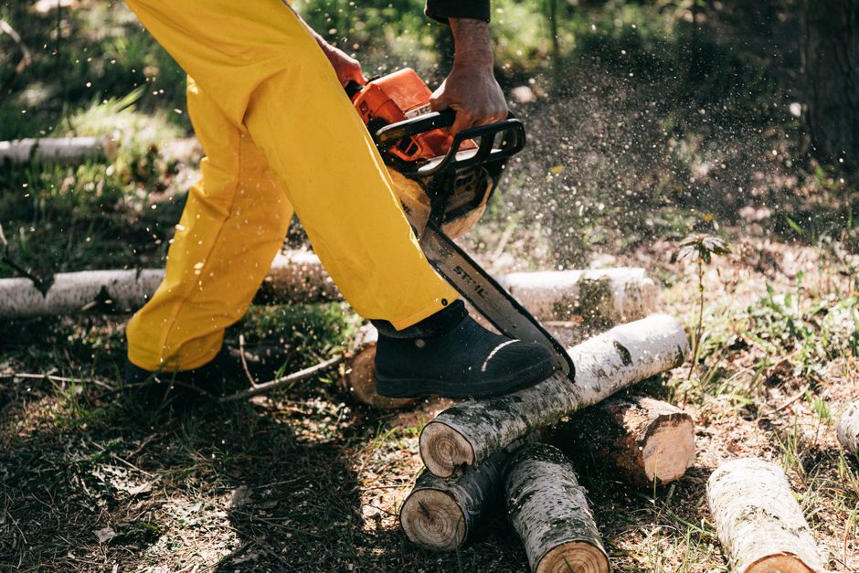 Firewood cut to size