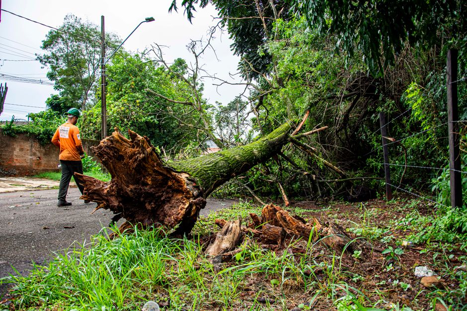 Storm damage cleanup and removal