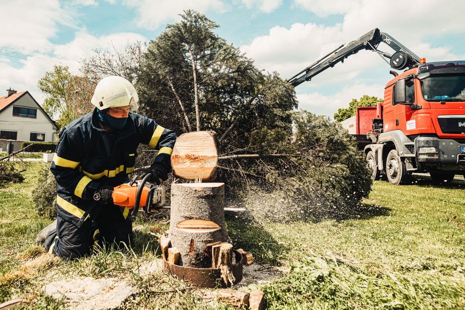 Stump grinding below ground level